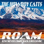 ROAM