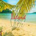 Big Island Vibe Featuring Imgas
