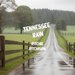 Tennessee Rain
