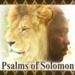 Psalms of Solomon: You're Already Rich (2008)