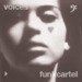 voices