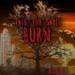 This Too Shall Burn