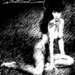 The Soft Decay