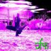 the Demo Album (Release)
