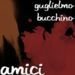 AMICI