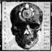 The Physics of Chro-Magnon Chromatics
