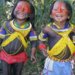The Amazon Awakening soundtrack by Aurea Regina and Junno Homrich