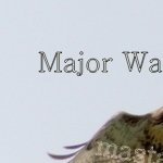 mastaswitch