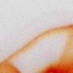 Our Sins Will Cure Us