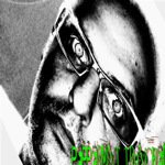 Your Dolphin Is Staring At Me!