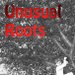 Unusal Roots
