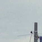 DLR-002: A Medio Camino