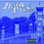 Bricc by Bricc