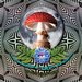 VA - The Mushroom speaks compiled by Dirtyphreak -  LAMAT RECORDS