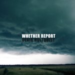 Whether Report