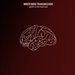 Spiders in the Mind Web