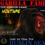 GARILLA FAMILY ~ HUNGER GAME 