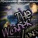THE WONDER TWINS