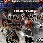 UNCONSCIOUS CULTURE