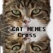 Cat Memes (Single)