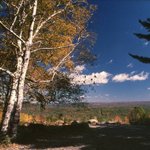 The Caretakers: Clearing In The Woods - by BAREFOOT NUNUS