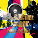 Blacktree Music Presents "Soul Seeds, Vol. One"