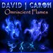 Omniscient Flames 