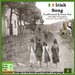 Irish Traditional and Sean Nós Song