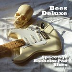 Space Age Bachelor Pad Blues