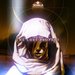 The lost prophet