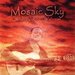 Mosaic Sky