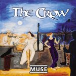 Muse