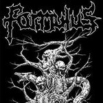 Formulus