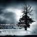 The Winter of Our Discontent