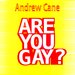 Are You Gay