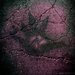 The Hand Of Apophis - Pt 1 Trajectory