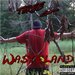 Wasteland