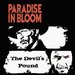 Devils Pound
