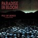 Pile of Bones - A Collection-