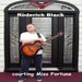 courting Miss Fortune EP (2013)
