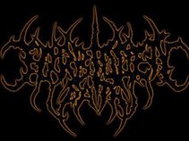 FORBIDDEN PATH MUSICK