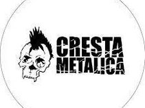 Cresta Metalica
