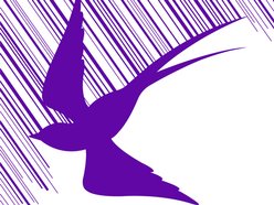 Rainbird Music