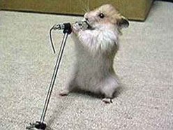 Plugged Inn Studios