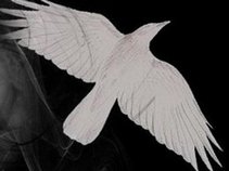 Scarecrow Child Records