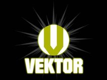 Vektor