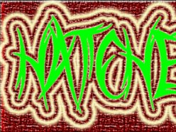 Hatchet  Records