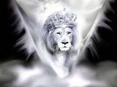 The Kingdom