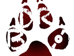 Brown Dog Records