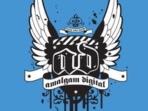 Amalgam Digital